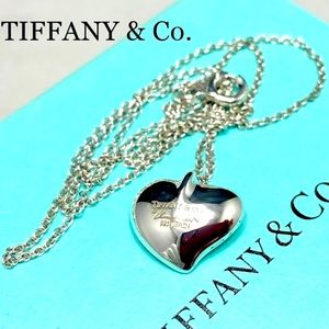 Tiffany & Co Luxury 925 Sterling Silver Necklace